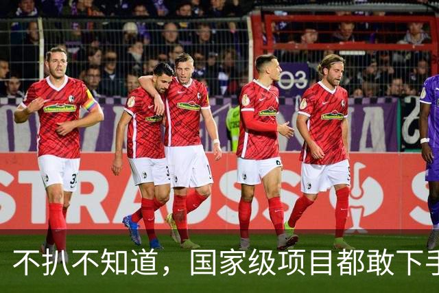 不扒不知道，国家级项目都敢下手