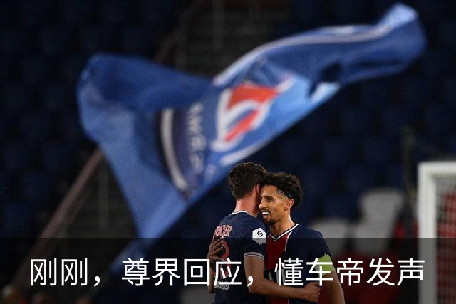 刚刚，尊界回应，懂车帝发声