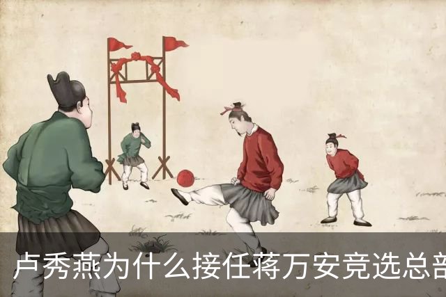 卢秀燕为什么接任蒋万安竞选总部的主委？