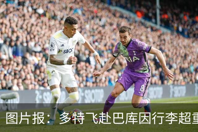 图片报：多特飞赴巴库因行李超重，不得不临时调整航班